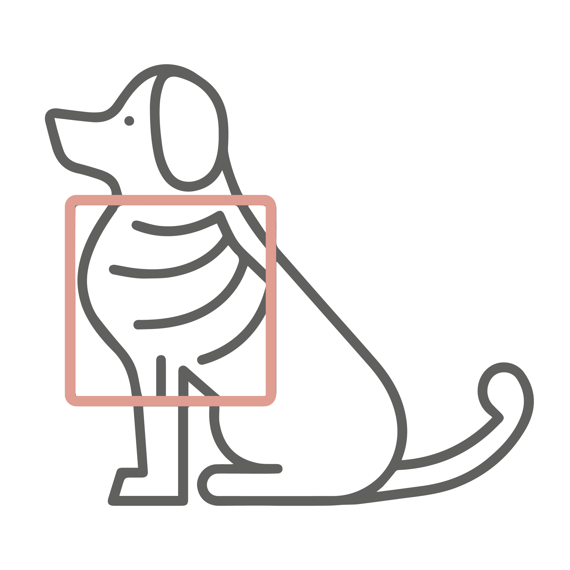 Digital x-ray