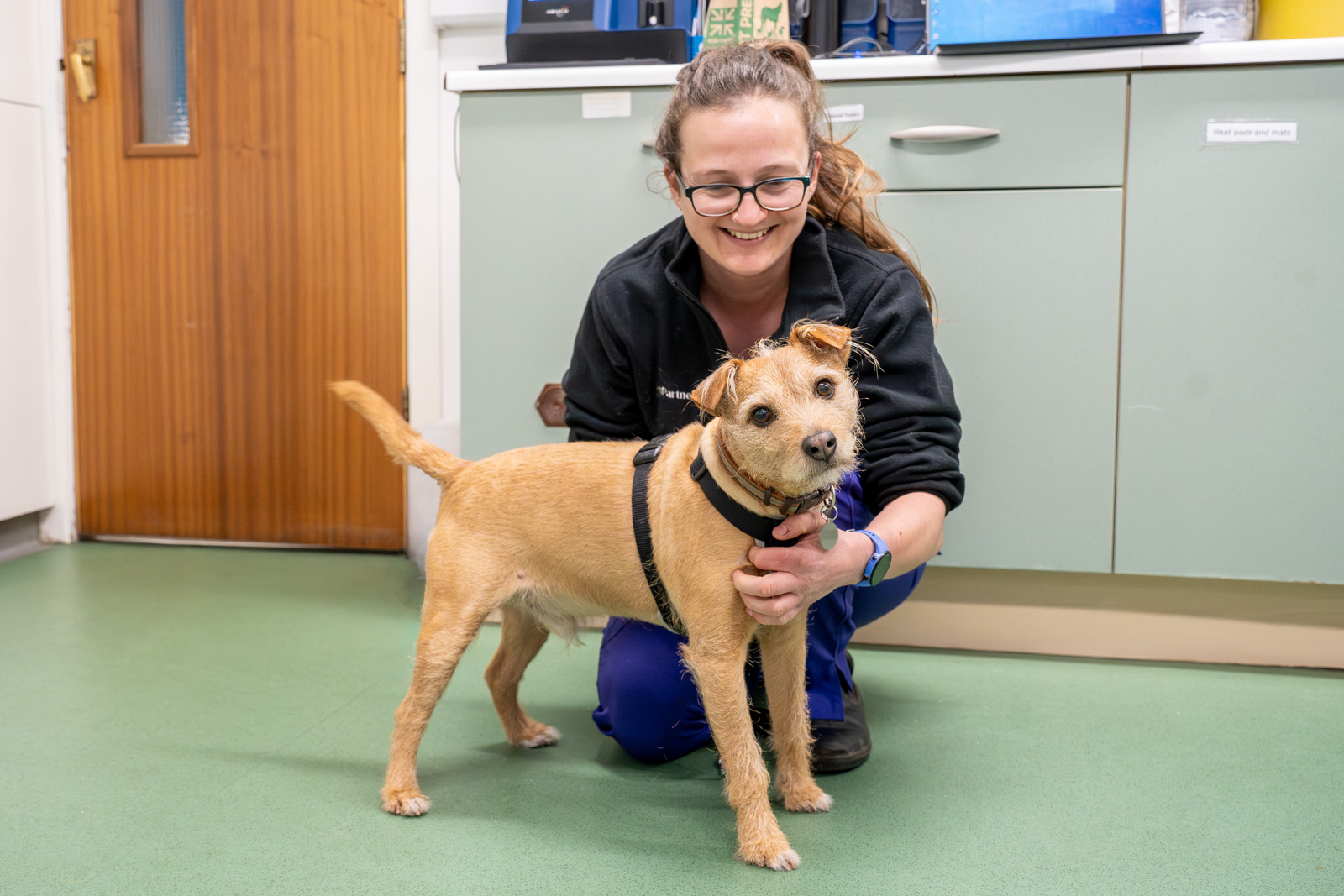 A woman with glasses and a ponytail crouches on a green floor, happily posing with a small brown dog wearing a harness. They are in a room with green cabinets and a wooden door in the background.