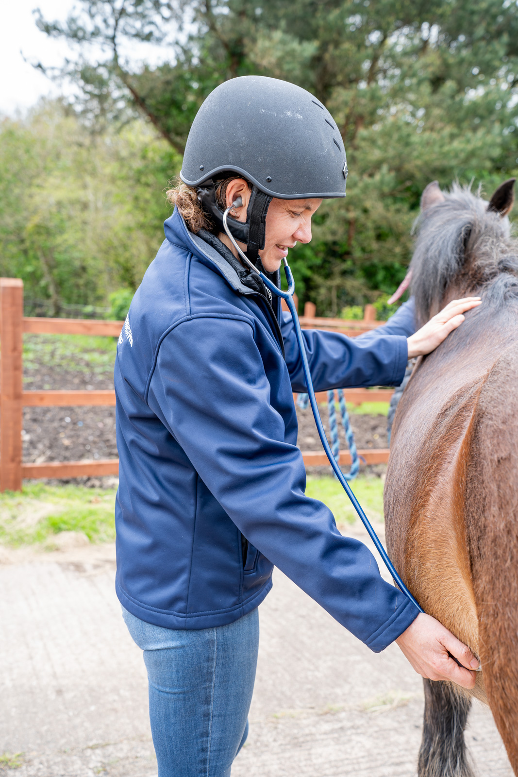 Bodrwnsiwn (Web) 287 A person in a blue jacket and helmet uses a stethoscope to examine a horse. They are outdoors near a wooden fence and trees.