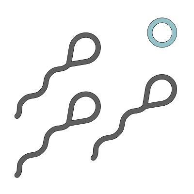 Fertility programmes